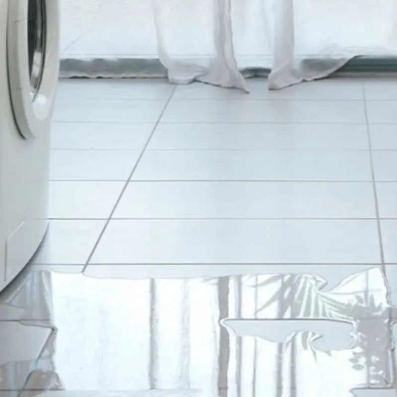 Appliance Leak Cleanup in Quincy, IL