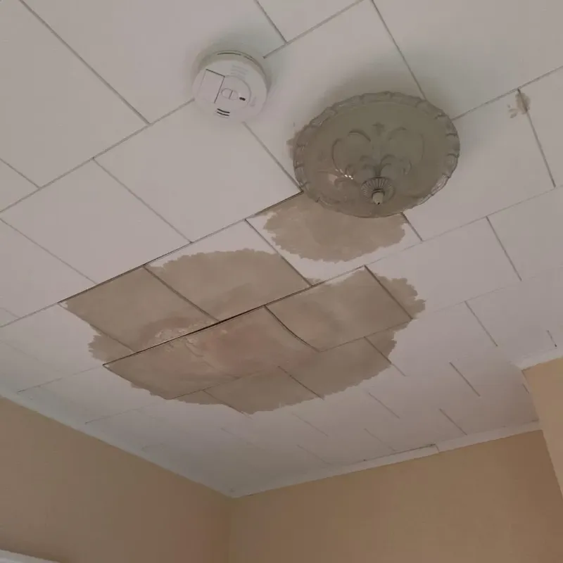 Ceiling Water Damage Repair in Quincy, IL
