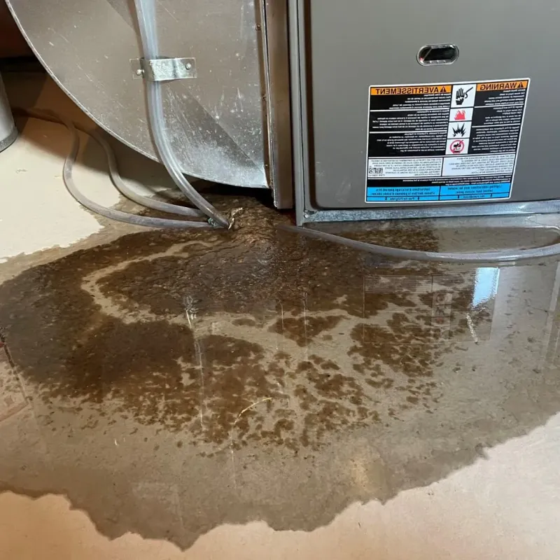 Pipe Burst and Leak Restoration in Quincy, IL