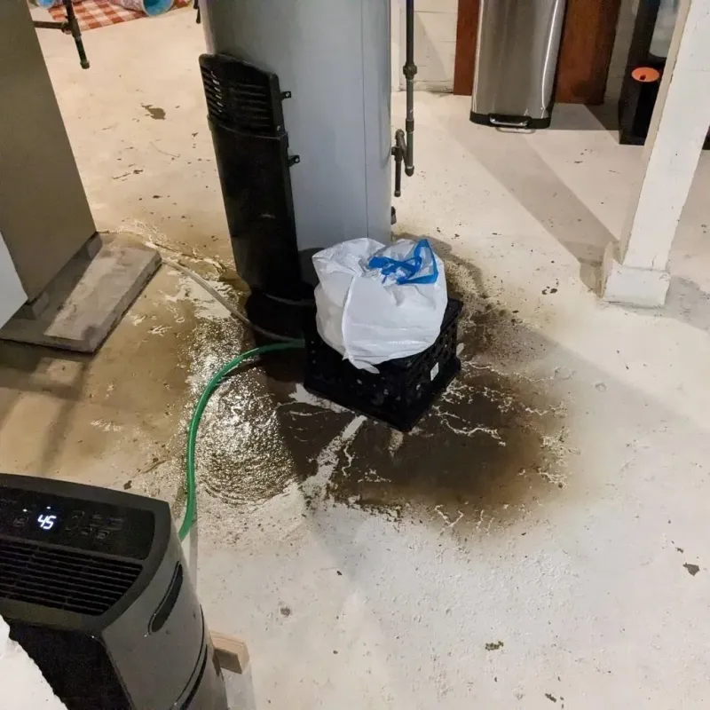 Sewage Backup Cleanup Service in Quincy, IL